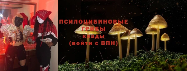 метадон Абаза