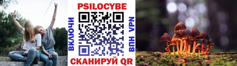 Галлюциногенные грибы GOLDEN TEACHER Красноперекопск